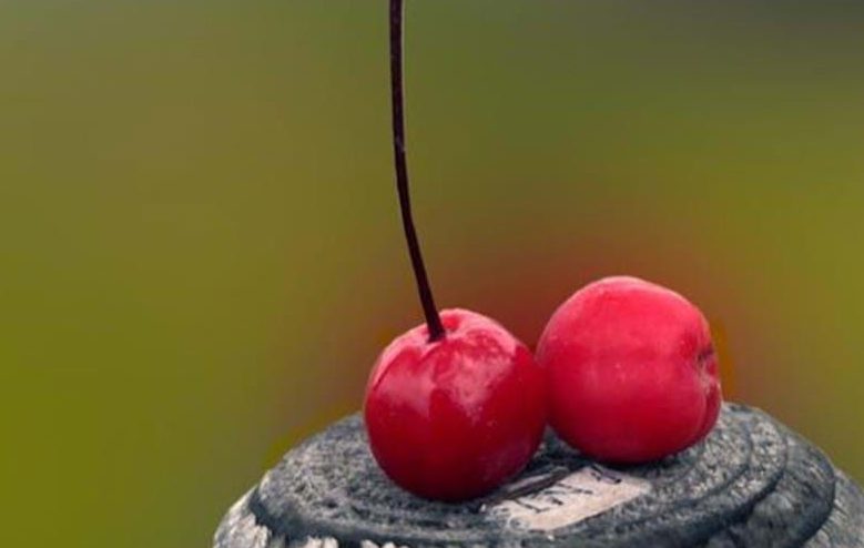 ÖKKV:s medlemsutställning 2025